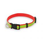 Collar para Perros - Imagen 2