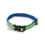 Collar para Perros - Imagen 3