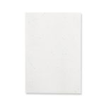 Bloc Papel Semilla - Imagen 6